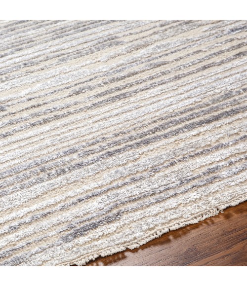 Surya Amina Rug AMA2305