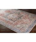 Livabliss Amelie AML-2309 Area Rug