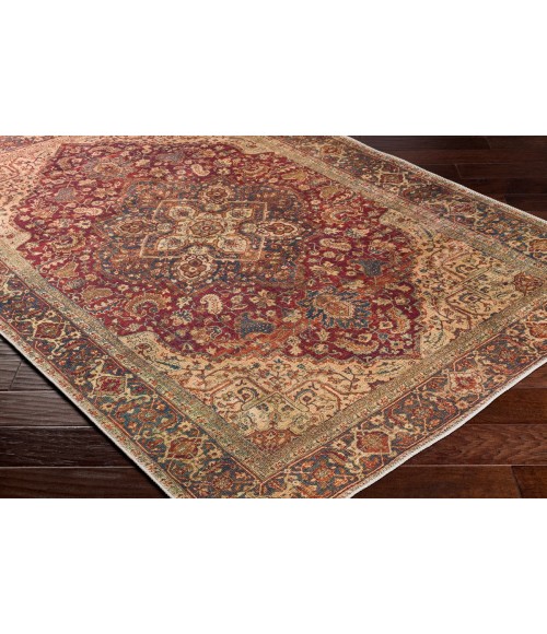 Livabliss Amelie AML-2344 2 ft.7 x 7 ft.10 Rug