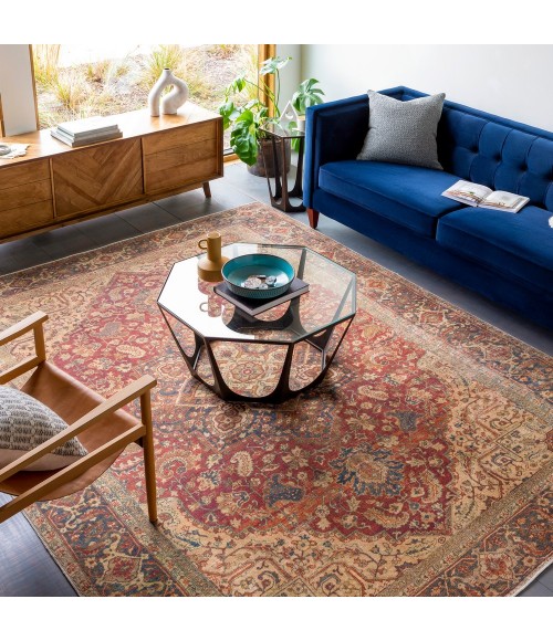 Livabliss Amelie AML-2344 2 ft.7 x 7 ft.10 Rug