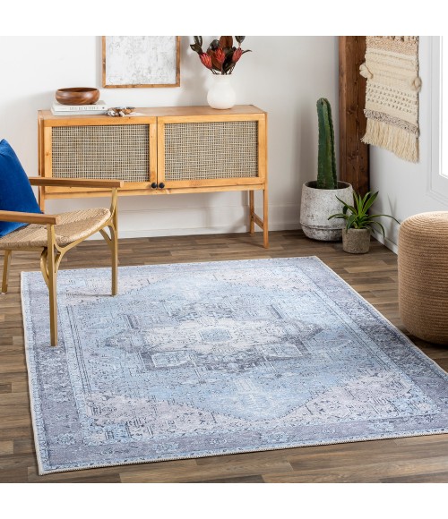 Livabliss Amelie Rug AML2358
