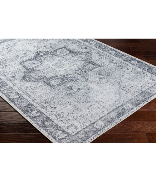 Livabliss Amelie Rug AML2361