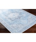 Livabliss Amelie Rug AML2362