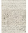 Livabliss Amelie Rug AML2379