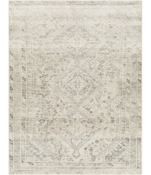 Livabliss Amelie Rug AML2379