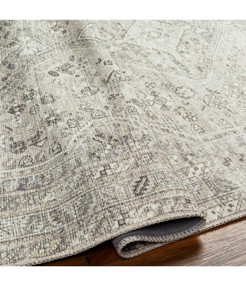 Livabliss Amelie Rug AML2379