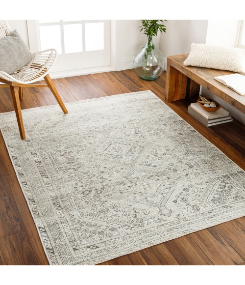 Livabliss Amelie Rug AML2379