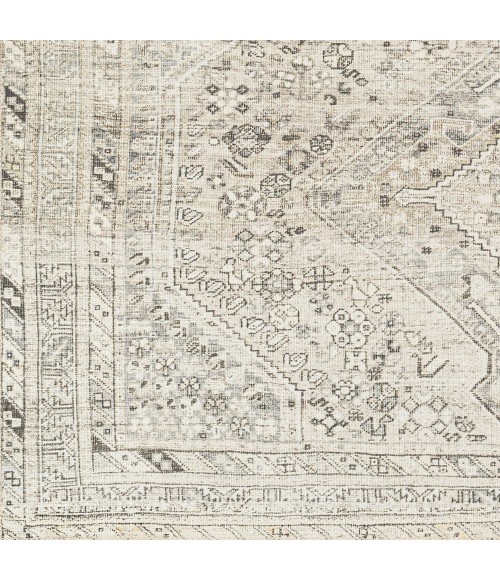 Livabliss Amelie Rug AML2379