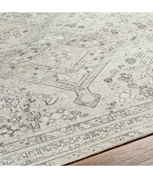Livabliss Amelie Rug AML2379
