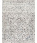 Livabliss Amelie Rug AML2380