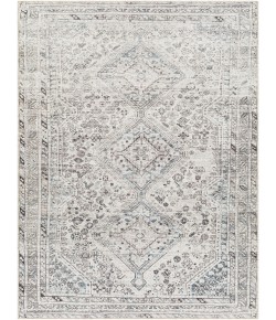 Livabliss Amelie AML2380 Off-White Denim Area Rug 6 ft. 7 in. X 9 ft. Rectangle