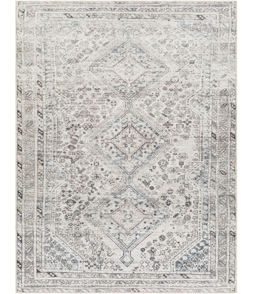 Livabliss Amelie Rug AML2380