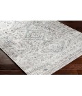 Livabliss Amelie Rug AML2380
