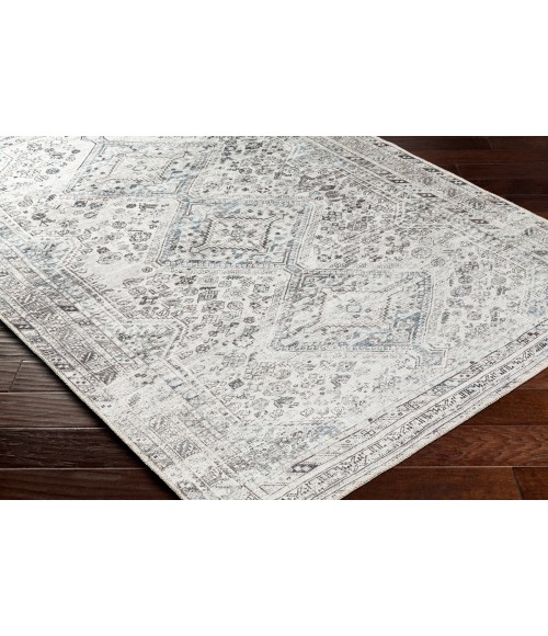 Livabliss Amelie Rug AML2380