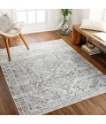 Livabliss Amelie Rug AML2380