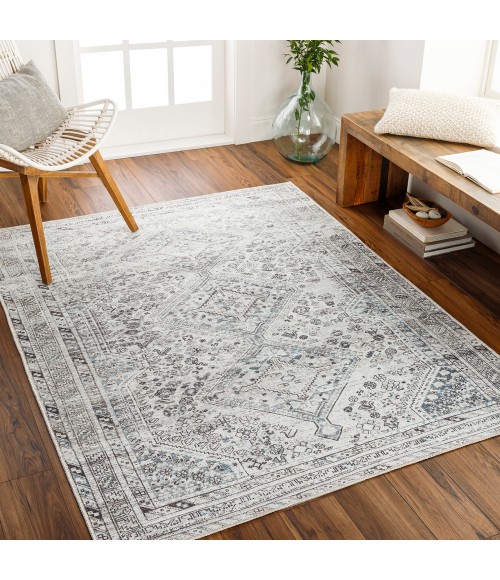 Livabliss Amelie Rug AML2380