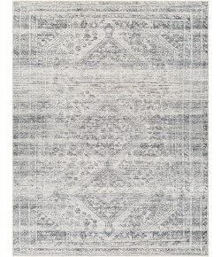 Livabliss Amelie AML2381 Off-White Charcoal Area Rug 8 ft. 10 in. X 12 ft. Rectangle