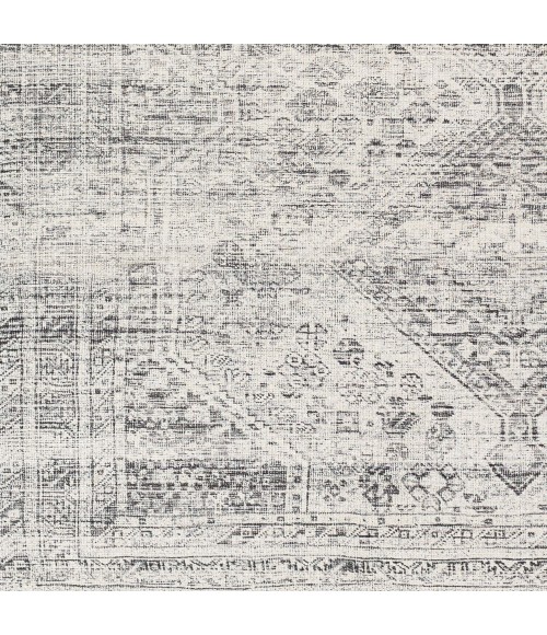 Livabliss Amelie Rug AML2381