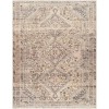 Livabliss Amelie AML2382 Ivory Gray Area Rug 6 ft. 7 in. X 9 ft. Rectangle