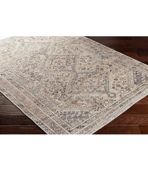 Livabliss Amelie Rug AML2382