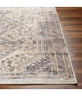 Livabliss Amelie Rug AML2382