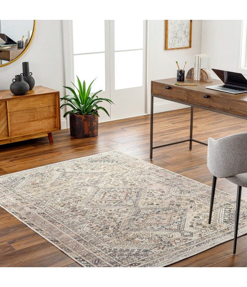 Livabliss Amelie Rug AML2382