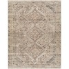 Livabliss Amelie AML2383 Ivory Gray Area Rug 6 ft. 7 in. X 9 ft. Rectangle