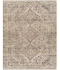 Livabliss Amelie Rug AML2383