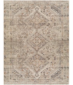 Livabliss Amelie AML2383 Ivory Gray Area Rug 7 ft. 10 in. X 10 ft. 2 in. Rectangle