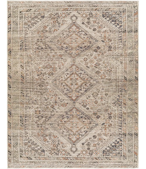 Livabliss Amelie Rug AML2383