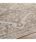 Livabliss Amelie Rug AML2383