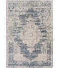 Amore Area Rug Surya Amore AMO-2304 2'3" x 3'9" Rug