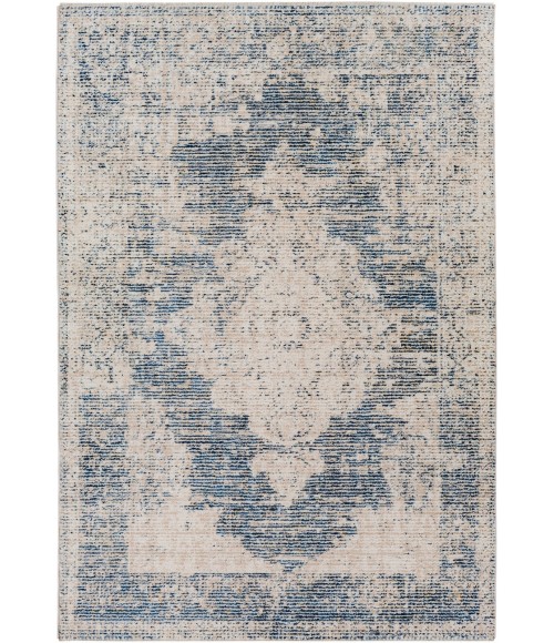 Amore Area Rug Surya Amore AMO-2304 2'3" x 3'9" Rug