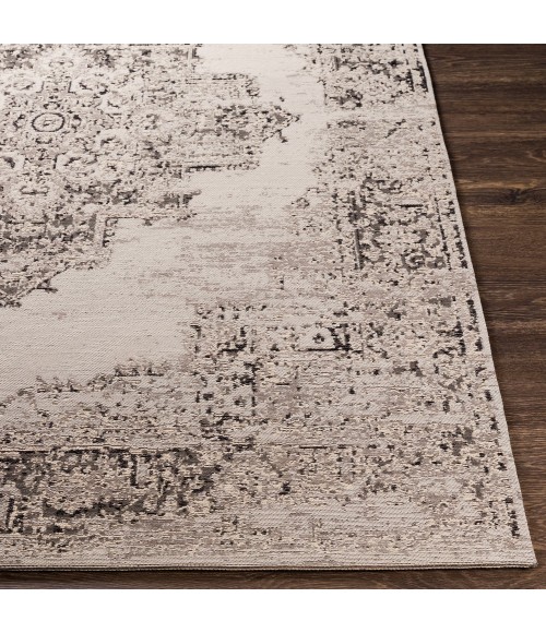 Surya Amsterdam AMS-1023 8  x 10  Rug
