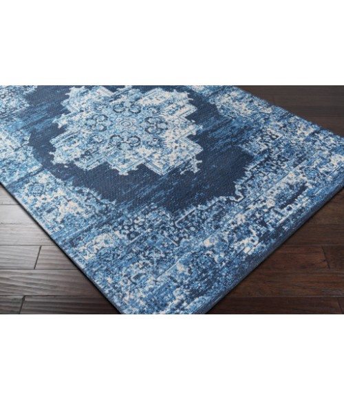 Surya Amsterdam AMS-1024 5  x 7 6 Rug
