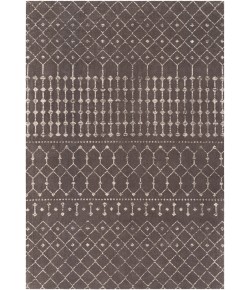 Surya Amsterdam AMS1026 Charcoal Cream Area Rug 2 ft. X 3 ft. Rectangle