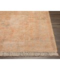 Surya Amasya AMY-2305 2' x 3' Rug