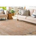 Surya Amasya AMY-2305 2' x 3' Rug
