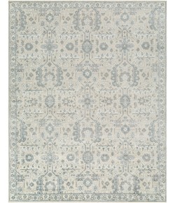 Surya Aleyna ANE2300 Light Blue Cream Area Rug 2 ft. X 3 ft. Rectangle