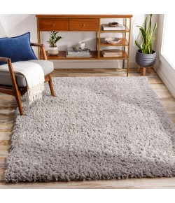 Livabliss Angora ANG2302 Medium Gray Area Rug 2 ft. 3 in. X 3 ft. 9 in. Rectangle