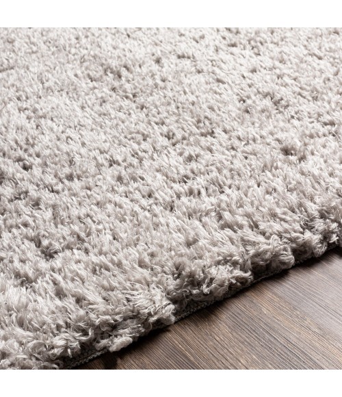 Livabliss Angora ANG-2302 23" x 39" Rug
