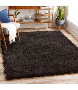 Livabliss Angora ANG2306 Black Area Rug 2 ft. 3 in. X 3 ft. 9 in. Rectangle