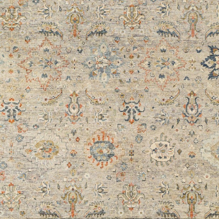 Surya Anatolia ANY-2305 2' x 3' Rug