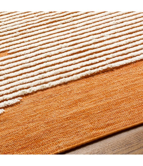 Livabliss Apache Rug APA2309