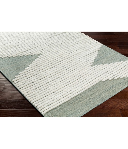 Livabliss Apache Rug APA2313