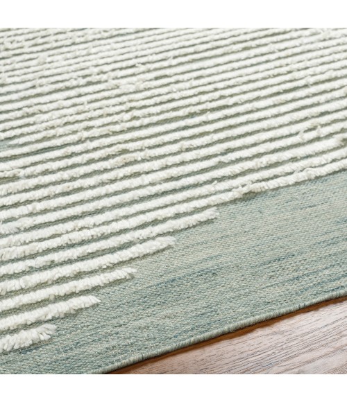 Livabliss Apache Rug APA2313