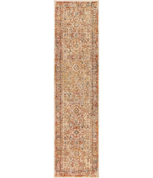 Livabliss Aspendos Rug APS2317