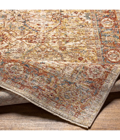 Livabliss Aspendos Rug APS2317
