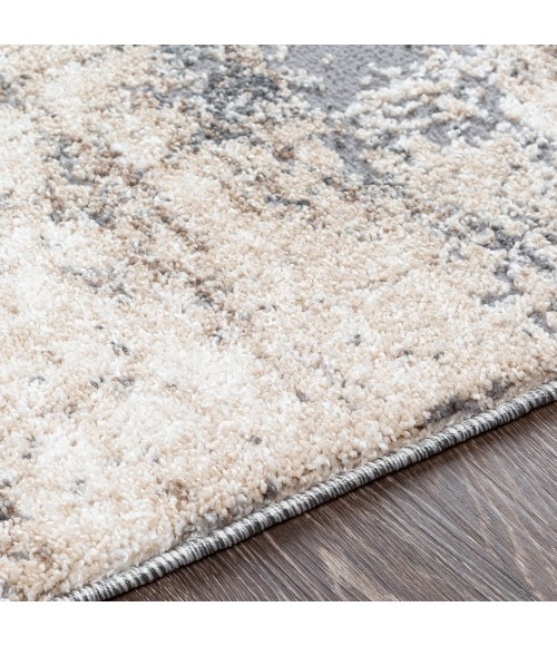 Livabliss Andorra ARD-2300 5 3 x 7 3 Rug