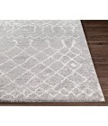 Surya Andorra ARD-2304 7 10 x 10  Rug